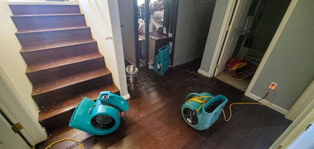 Best Water damage cleanup near me  in Manche North Shore, CA