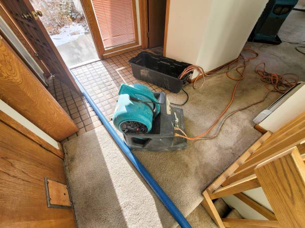 Best Water damage restoration near me  in Manche North Shore, CA
