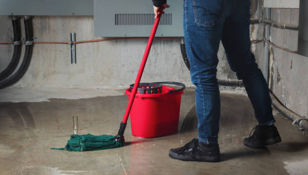 Best Water damage restoration services  in Manche North Shore, CA