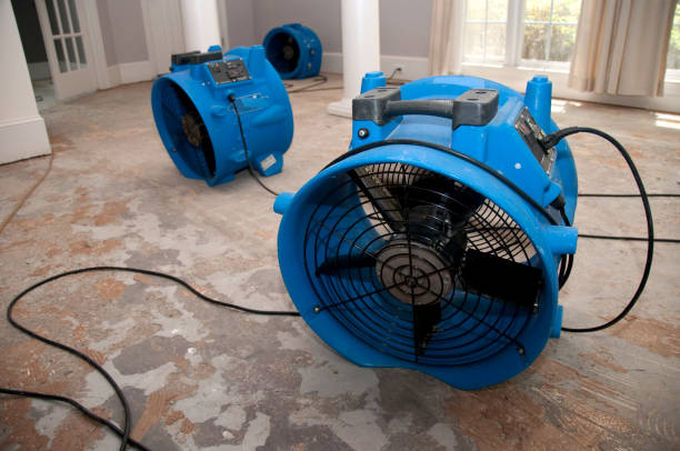 Best Professional water damage repair  in Manche North Shore, CA
