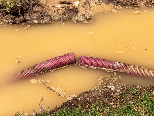 Best Basement water damage restoration  in Manche North Shore, CA