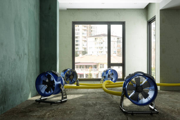 Best Flood restoration services  in Manche North Shore, CA