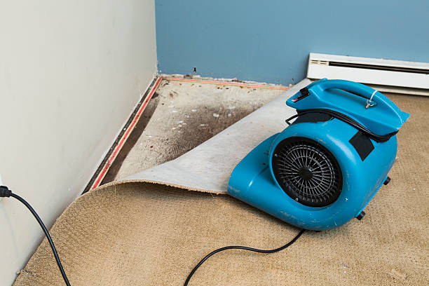Best Water damage repair service  in Manche North Shore, CA